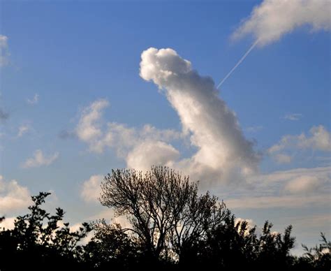 dicks.on cloud